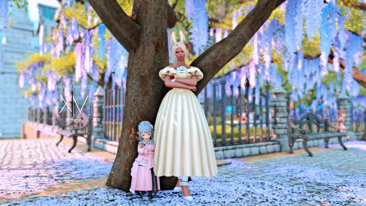 🌱ೀ りのちゃ꙳୨୧ tweet media
