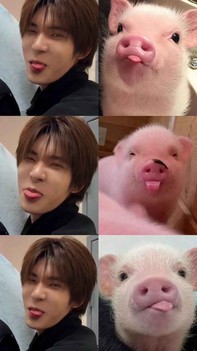 แงวชมพูวว ft.ตี๋ตี๋ป๋อ( •̯́ ₃ •̯̀) tweet media