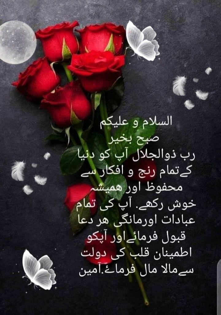 亗『 ᵀᵉᵃᵐᴸᴸᴾ ایمان 』亗 tweet media