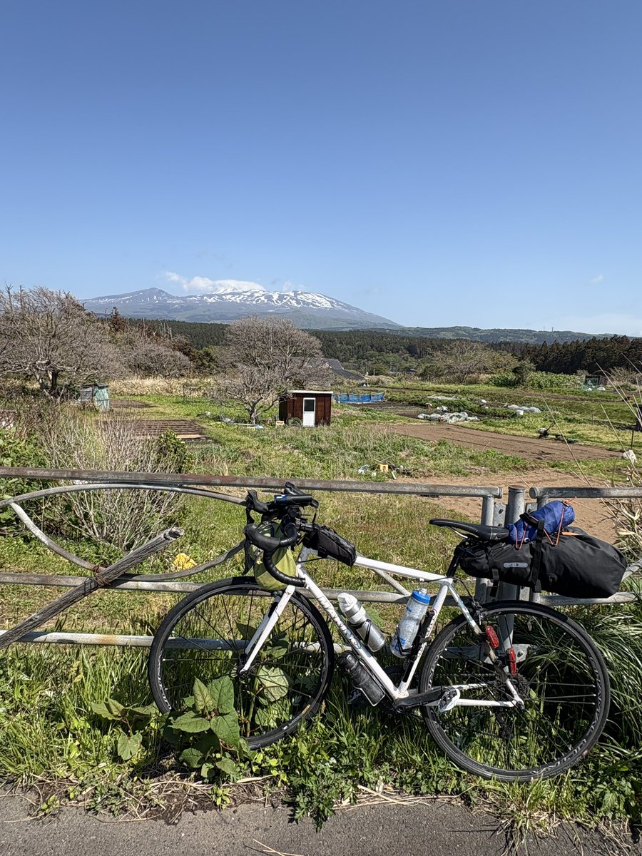 高ハレ(マニアッタ・ギリチョンネ)@ただの旅中 tweet media