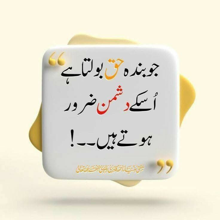 حاجی ٹوم🚩 tweet media
