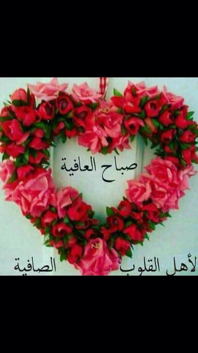 𝐁𝐄𝐋𝐀𝐋 𓄂 𝐇𝐀𝐍𝐍𝐎𝐔𝐓🇪🇬 tweet media