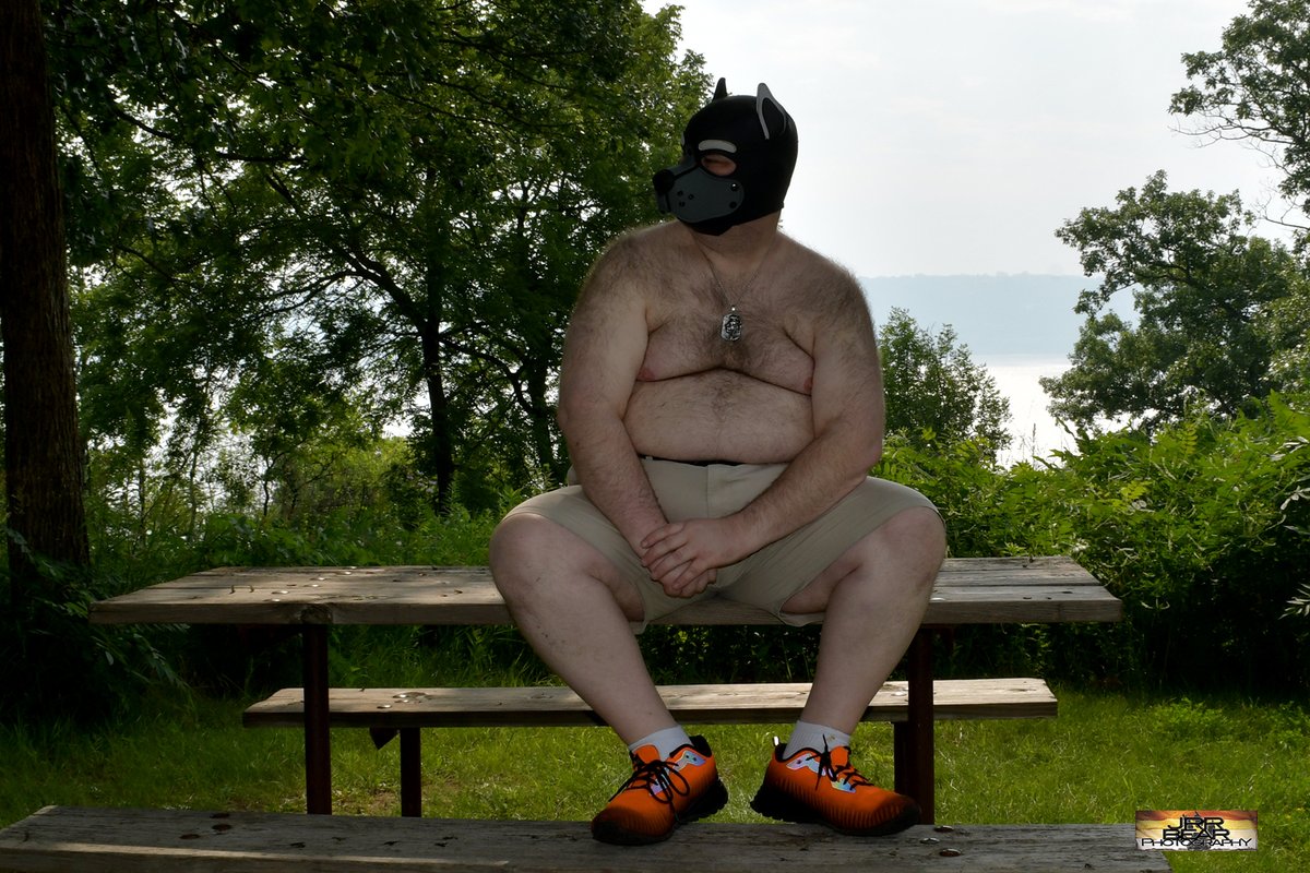 JRRBearPhotography tweet media