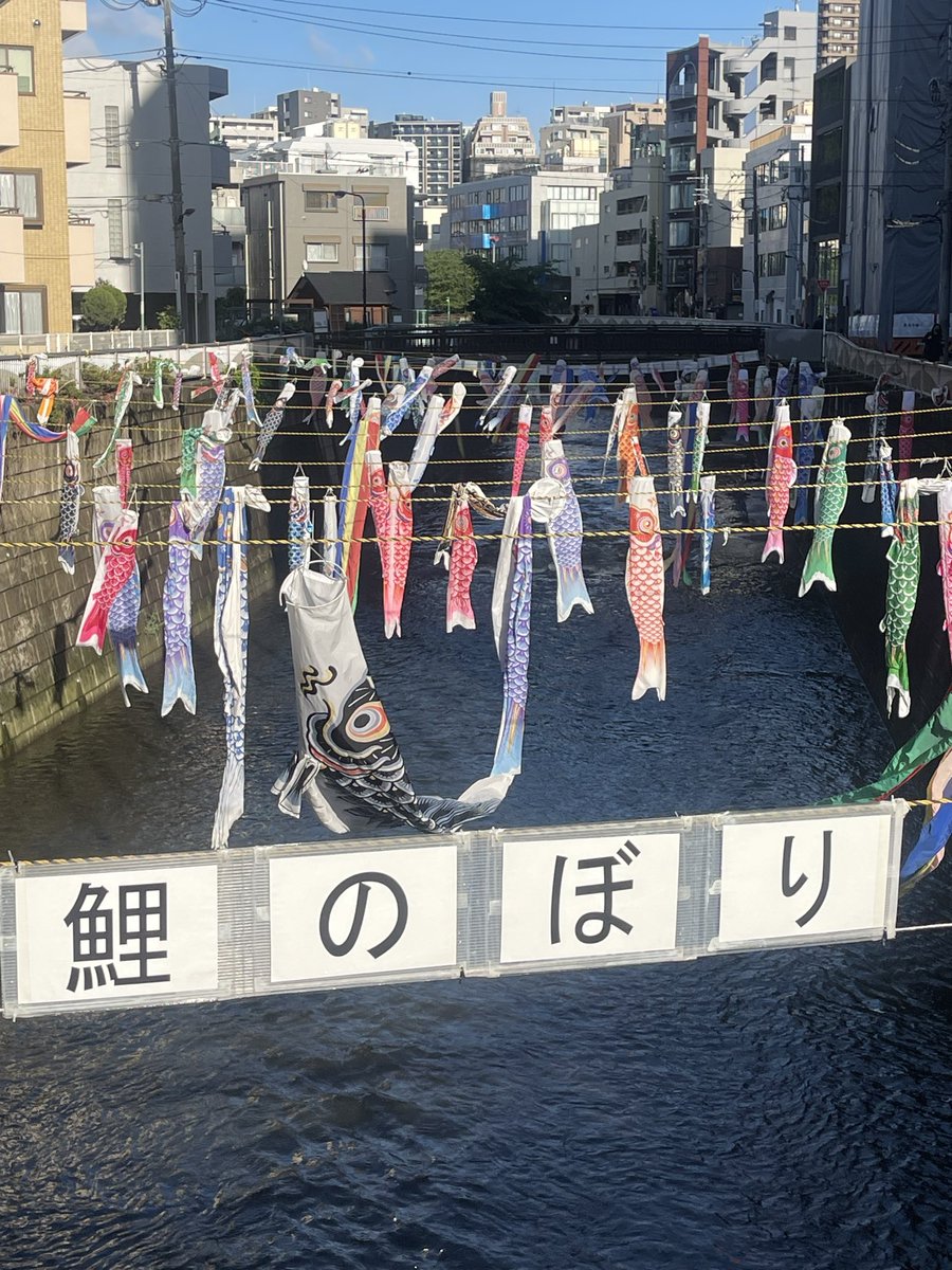 yibokjp's tweet photo. 还没到五月五号
男孩節的氛圍早已滿滿
鯉のぼり🎏武士頭盔
逆流而上勇往直前
節日不只是一天的放松
有形有色有载体的記忆
最能载動儿时的念想 https://t.co/npiFLFecyi
