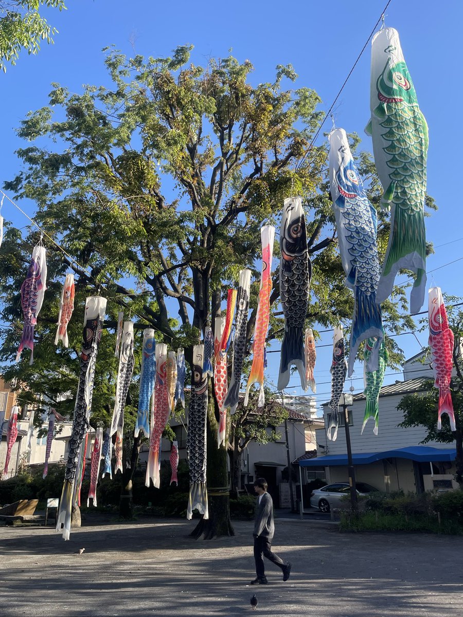 yibokjp's tweet photo. 还没到五月五号
男孩節的氛圍早已滿滿
鯉のぼり🎏武士頭盔
逆流而上勇往直前
節日不只是一天的放松
有形有色有载体的記忆
最能载動儿时的念想 https://t.co/npiFLFecyi