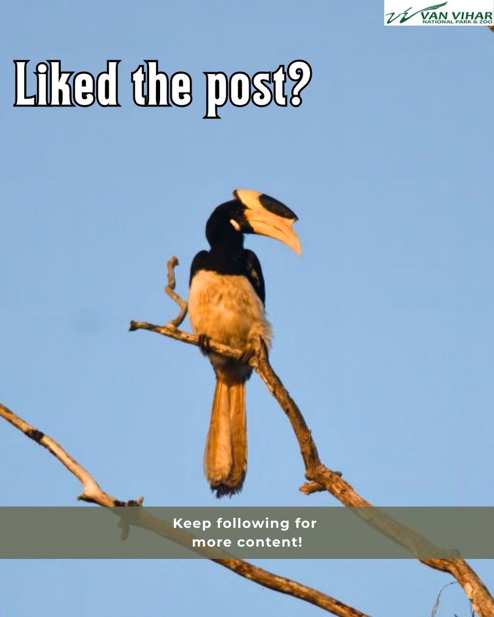 Van Vihar National Park tweet media