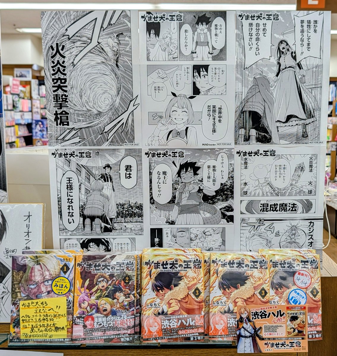 オリオン書房 ノルテ店 tweet media