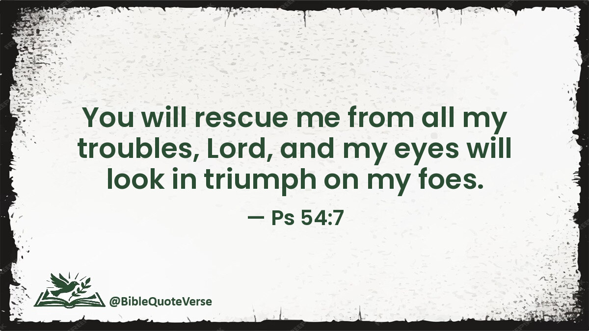 BibleQuoteVerse's tweet image. You will rescue me from all my troubles, Lord, and my eyes will look in triumph on my foes. - Ps 54:7 #Bible
