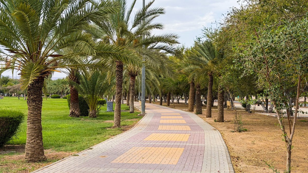 أمانة منطقة نجران tweet media