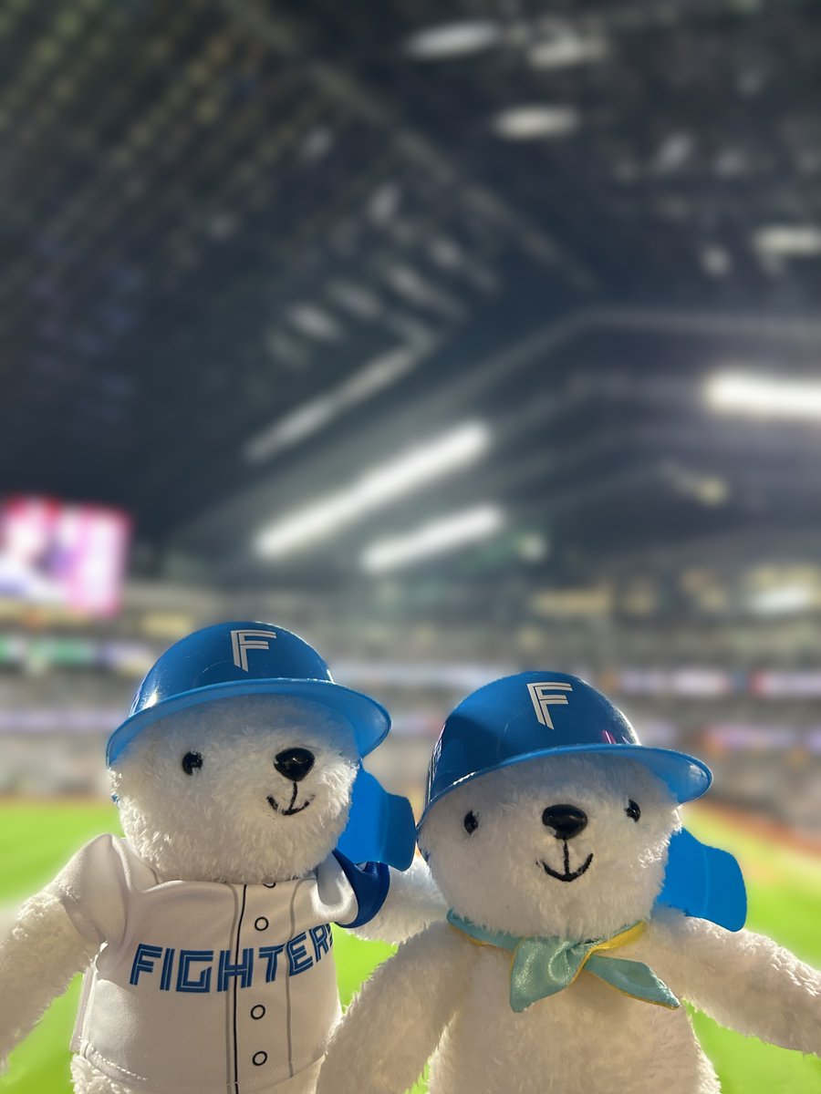 【公式】AIRDO（エア・ドゥ）｜北海道の翼 tweet media