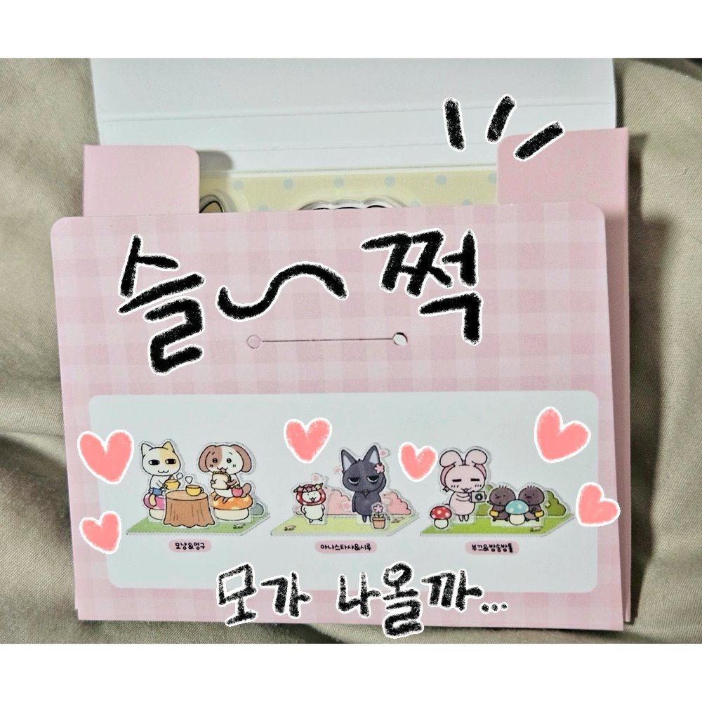 멍구의 꼬리 tweet media