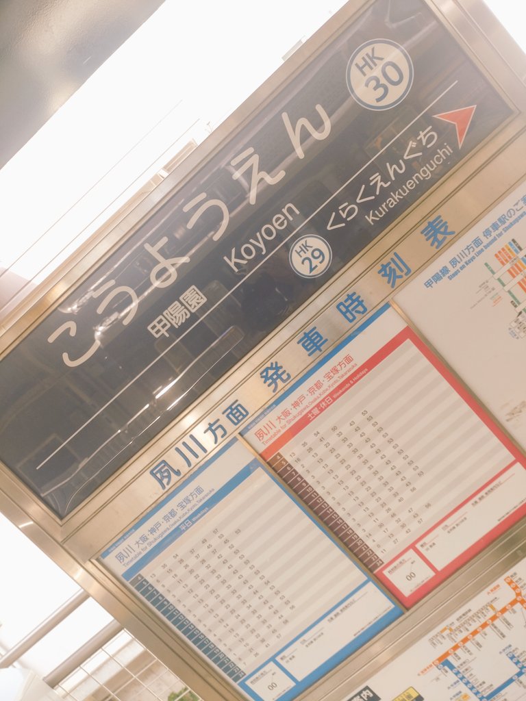 あんこっこ tweet media