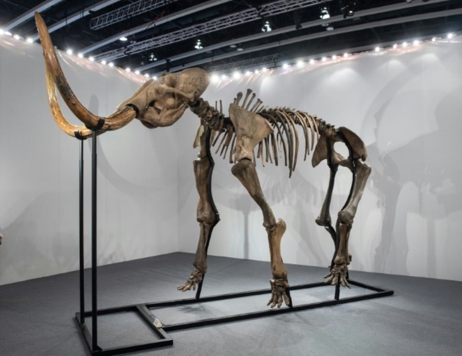 ToddLericos's tweet photo. Tonight was an extinction level event.
Put it on display at TMobile next week.

Close prediction @TDChrisG  
@TonyDasco not so much 😉 https://t.co/L4m6XBDTRH