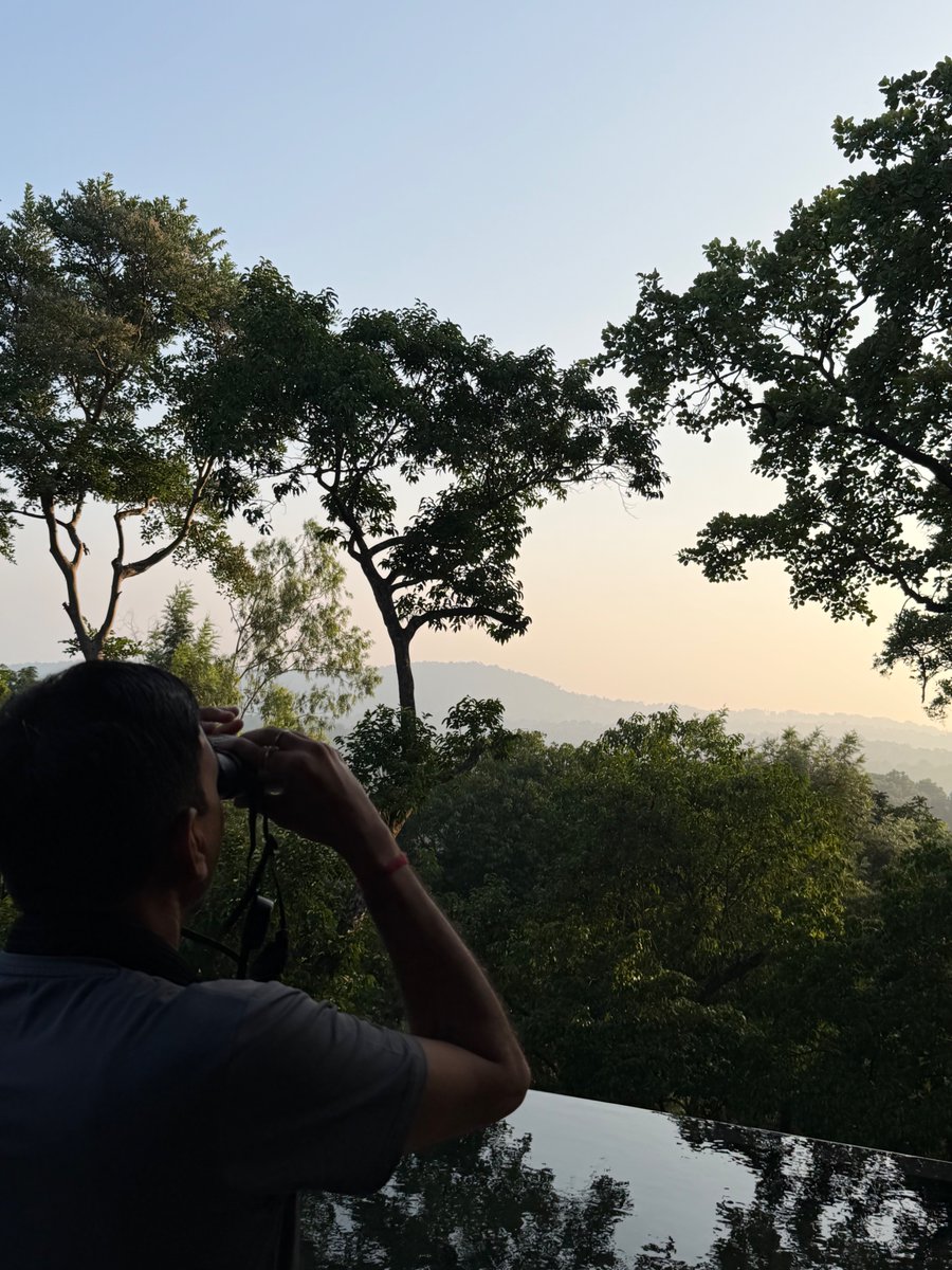 Dr Mansukh Mandaviya tweet media