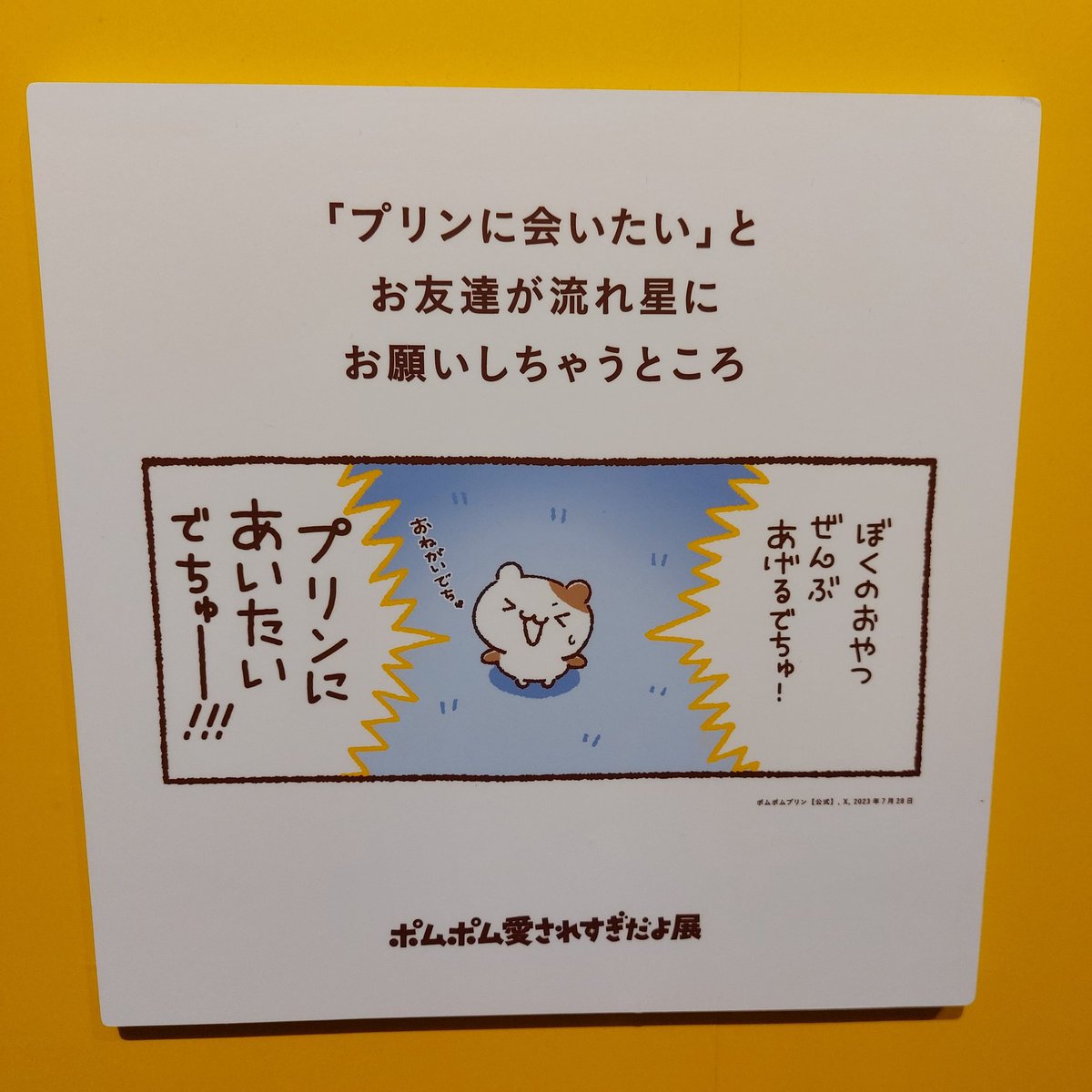 ふゎぽゆゅ tweet media