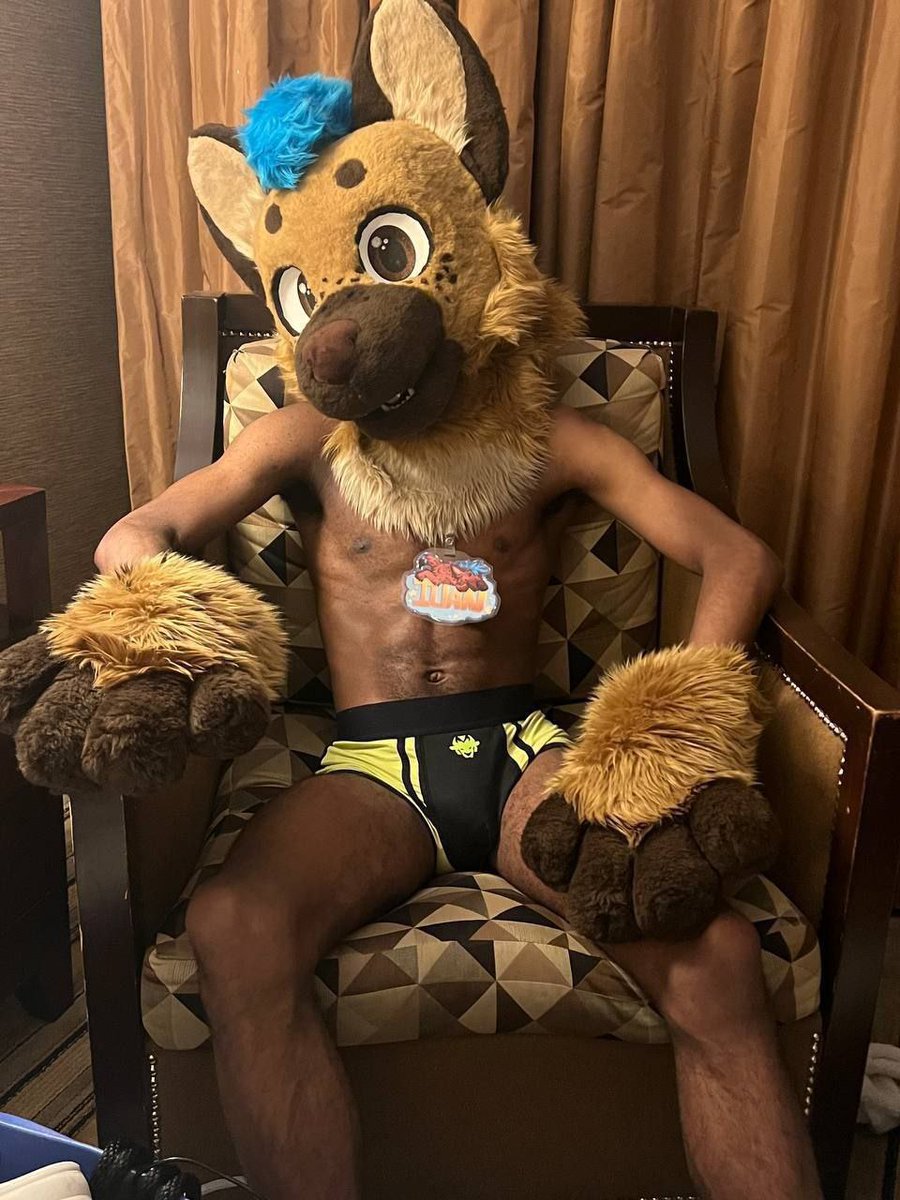 Wereili 🔜 FWA tweet media