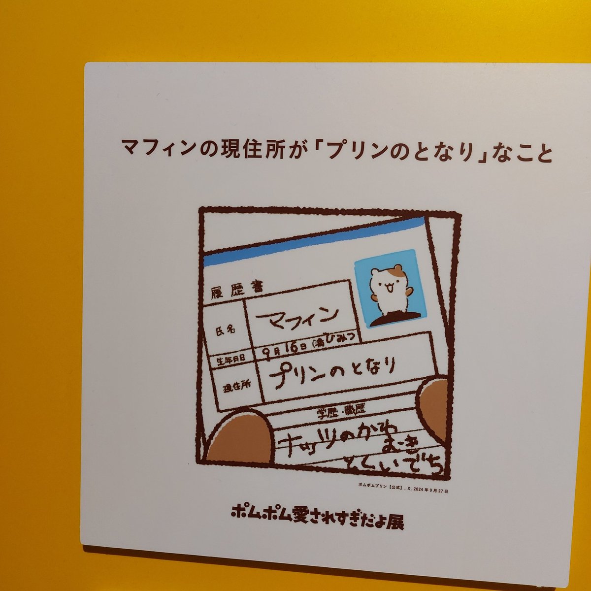 ふゎぽゆゅ tweet media