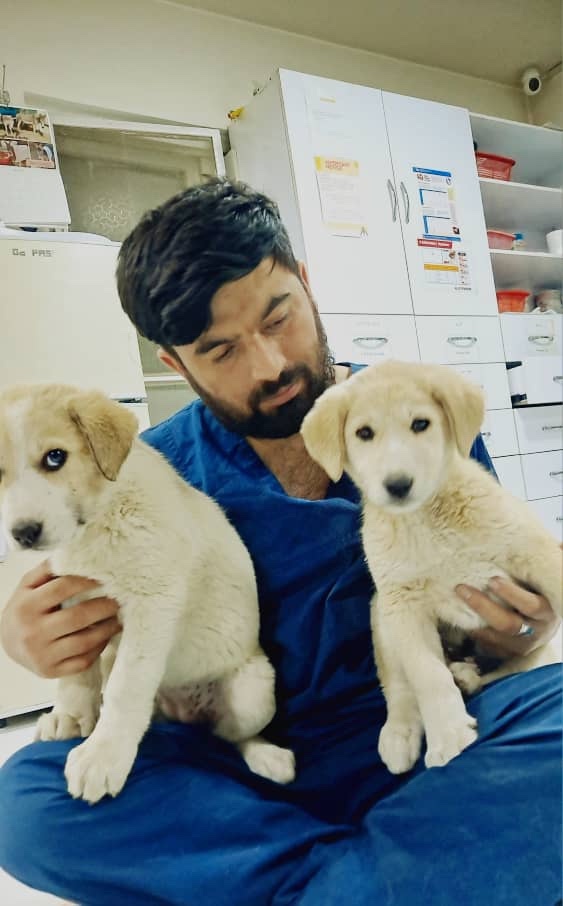 Kabul Small Animal Rescue tweet media
