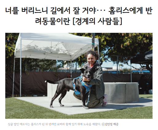 동물복지 봇 tweet media