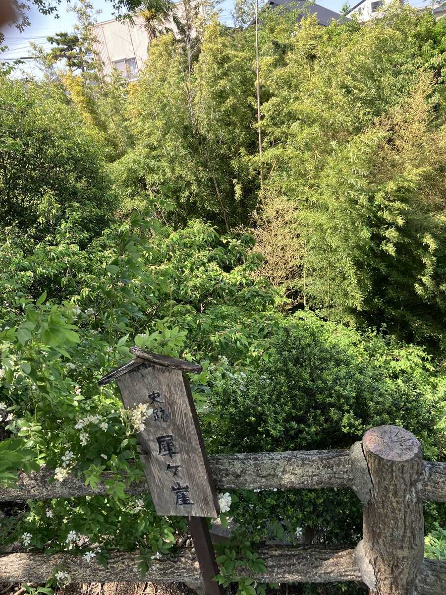 Setten_Tei's tweet photo. みんな読めなくて崖って呼ぶとこ
#獅子の如く https://t.co/oZEvkNK6mX
