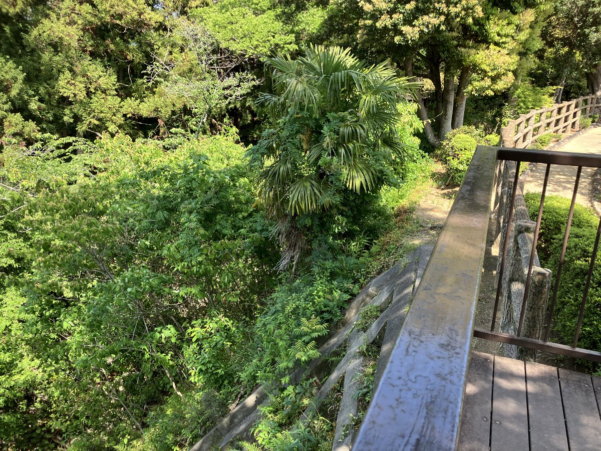 Setten_Tei's tweet photo. みんな読めなくて崖って呼ぶとこ
#獅子の如く https://t.co/oZEvkNK6mX