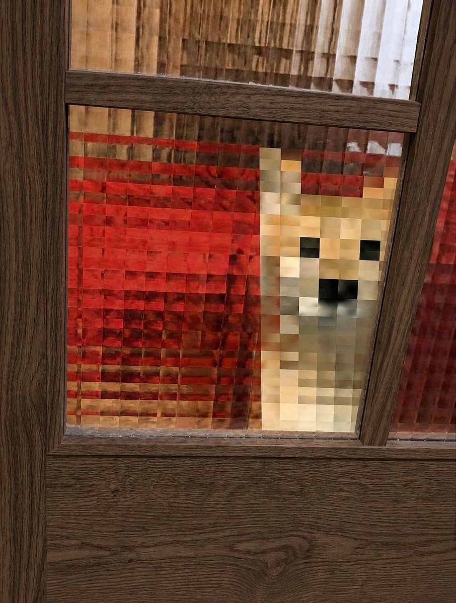 柴犬·͜·♡もも tweet media