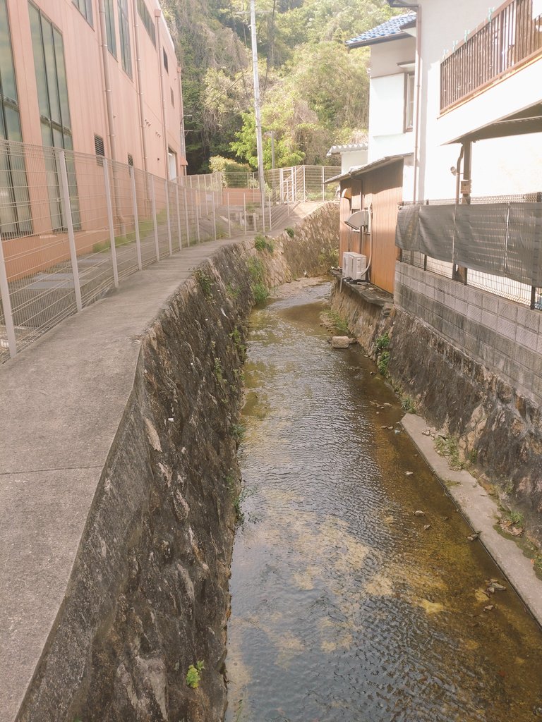 あんこっこ tweet media
