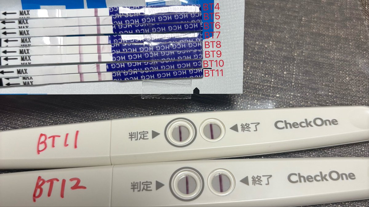 めるちー 移植① tweet media