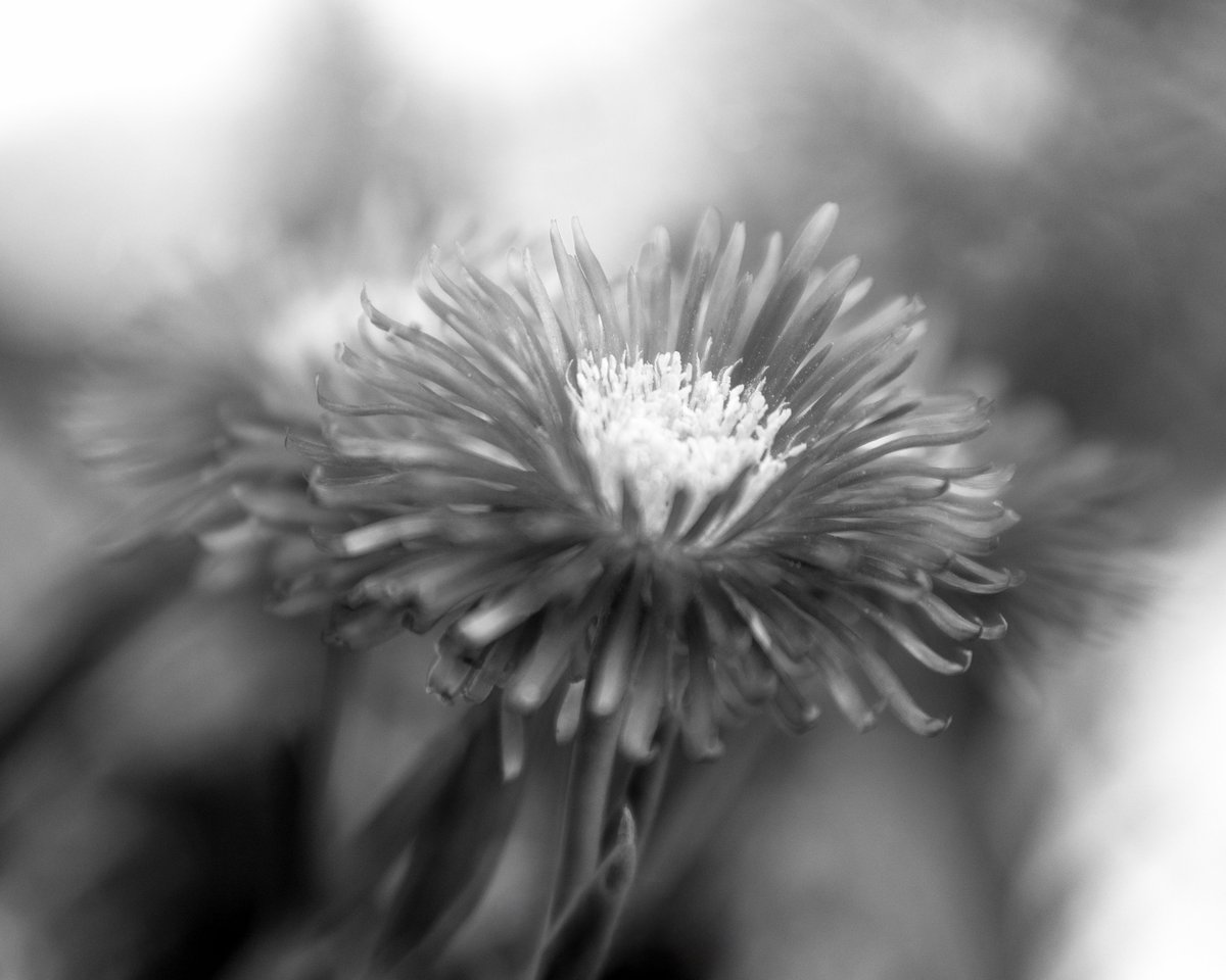 Tina Quillen Photography tweet media