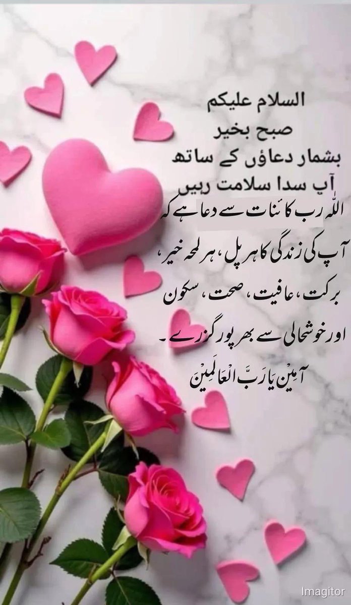PICESᵀᴹ__ˢᵒʷ tweet media