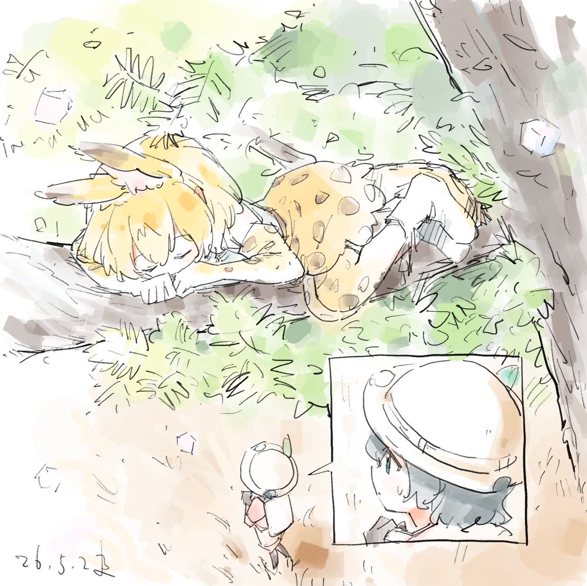 サーかば