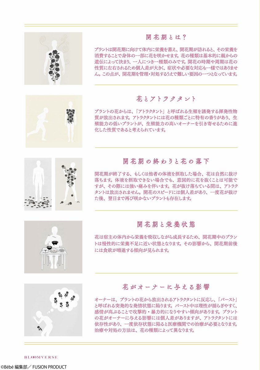 Bébé 編集部 tweet media
