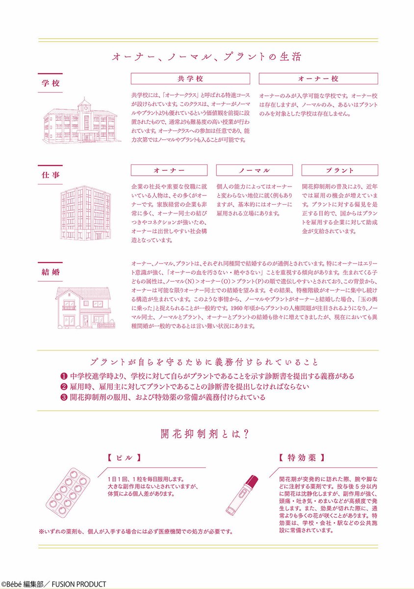 Bébé 編集部 tweet media