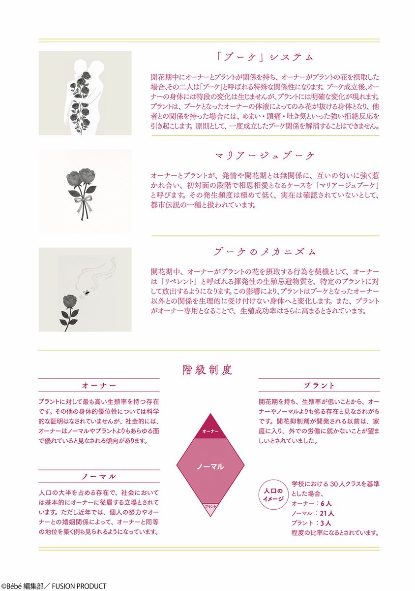 Bébé 編集部 tweet media