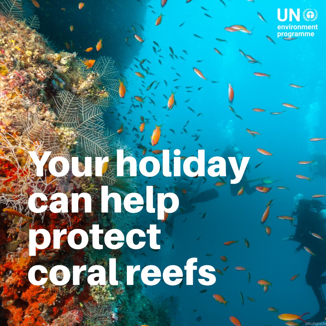 UN Environment Programme tweet media