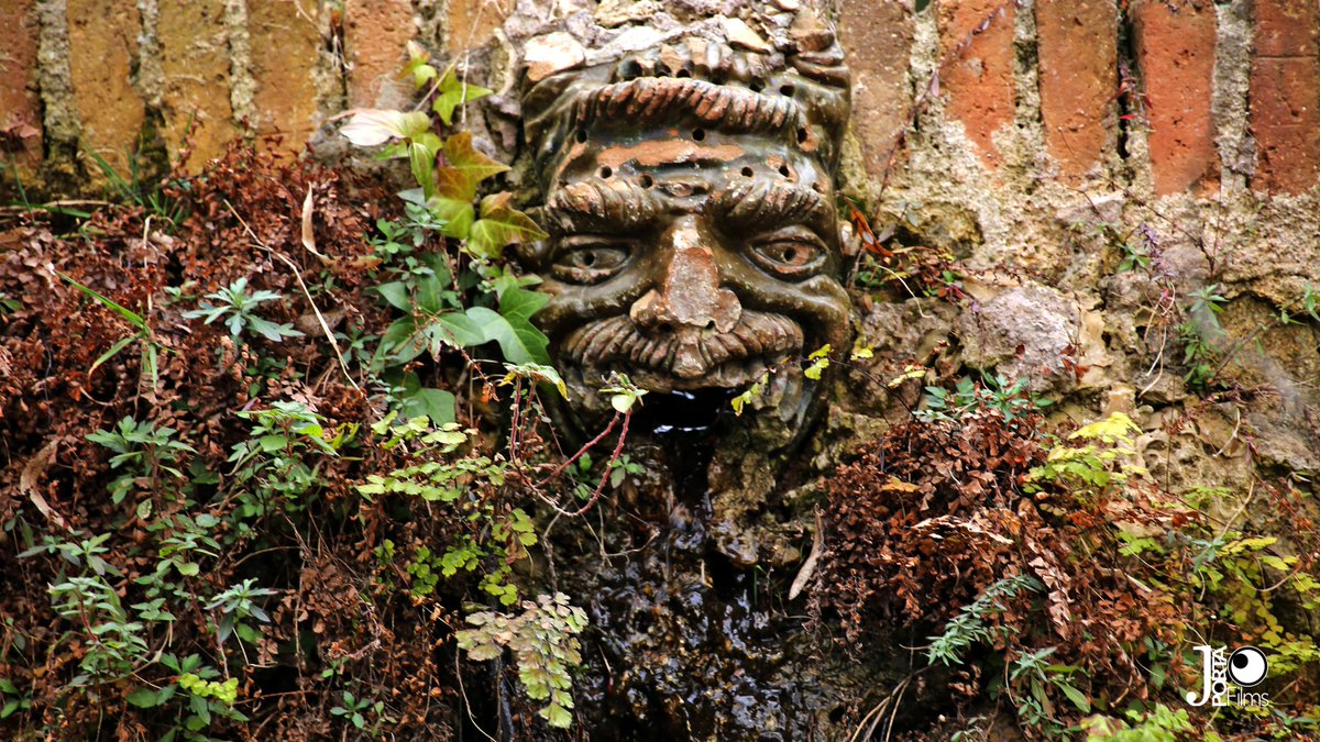 Història amb vida
Parc del Laberint d'Horta.
#Barcelona #natura #fotografia #photo #photography #PhotoArt #ThePhotoHour