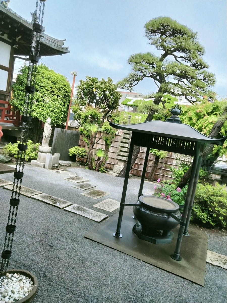 うさみん+ルニャ猫 tweet media