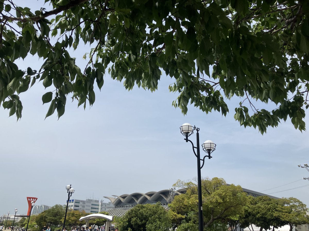 グラサン tweet media