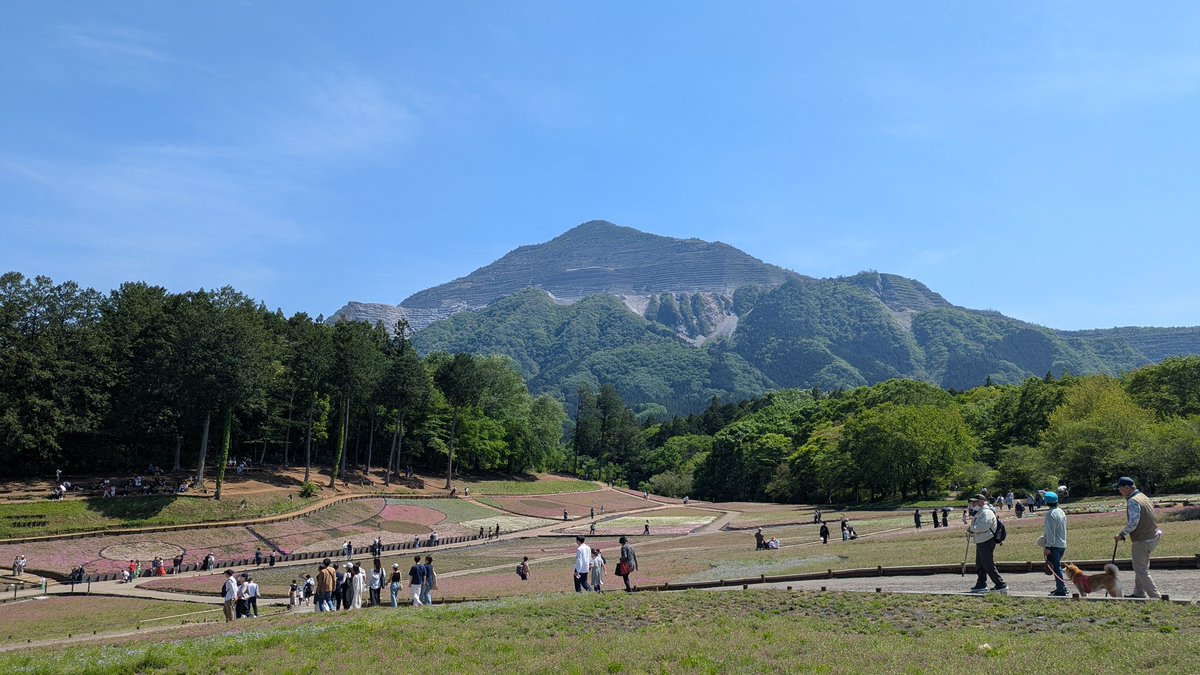 ブクロビッチ tweet media