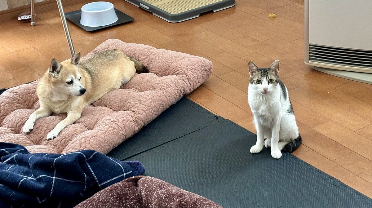 SKIPPY@nao-chan tweet media