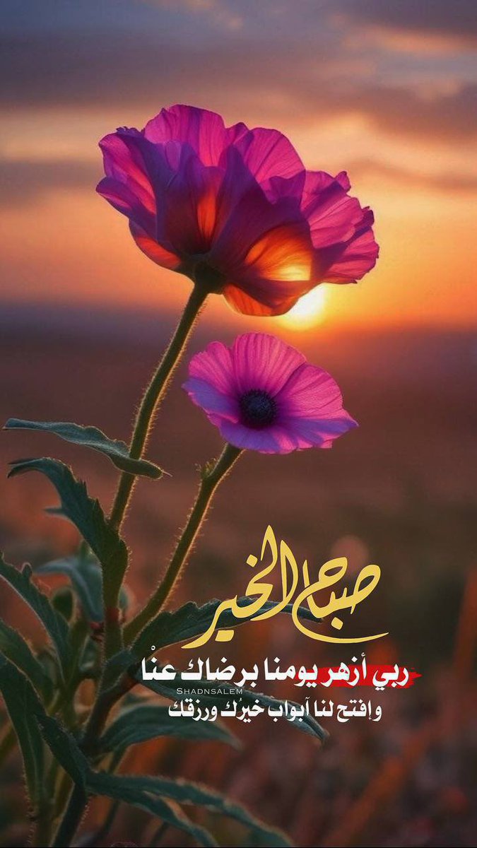 💛أحـّمًْدّ بن سّعّوّבّ💙 tweet media