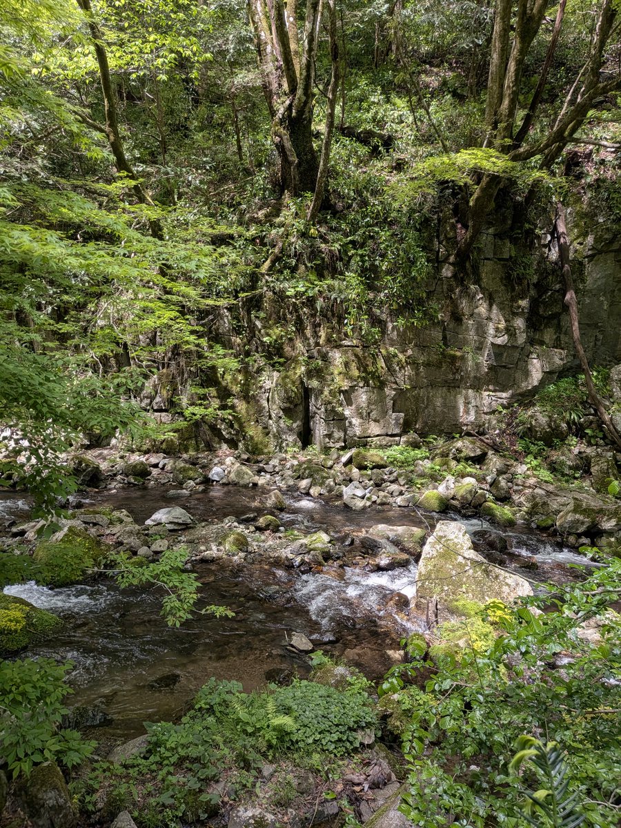 くそでかフォール