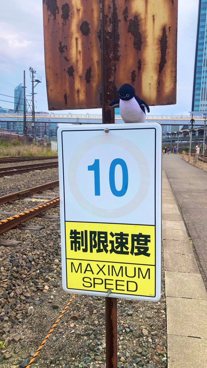 つかっち tweet media
