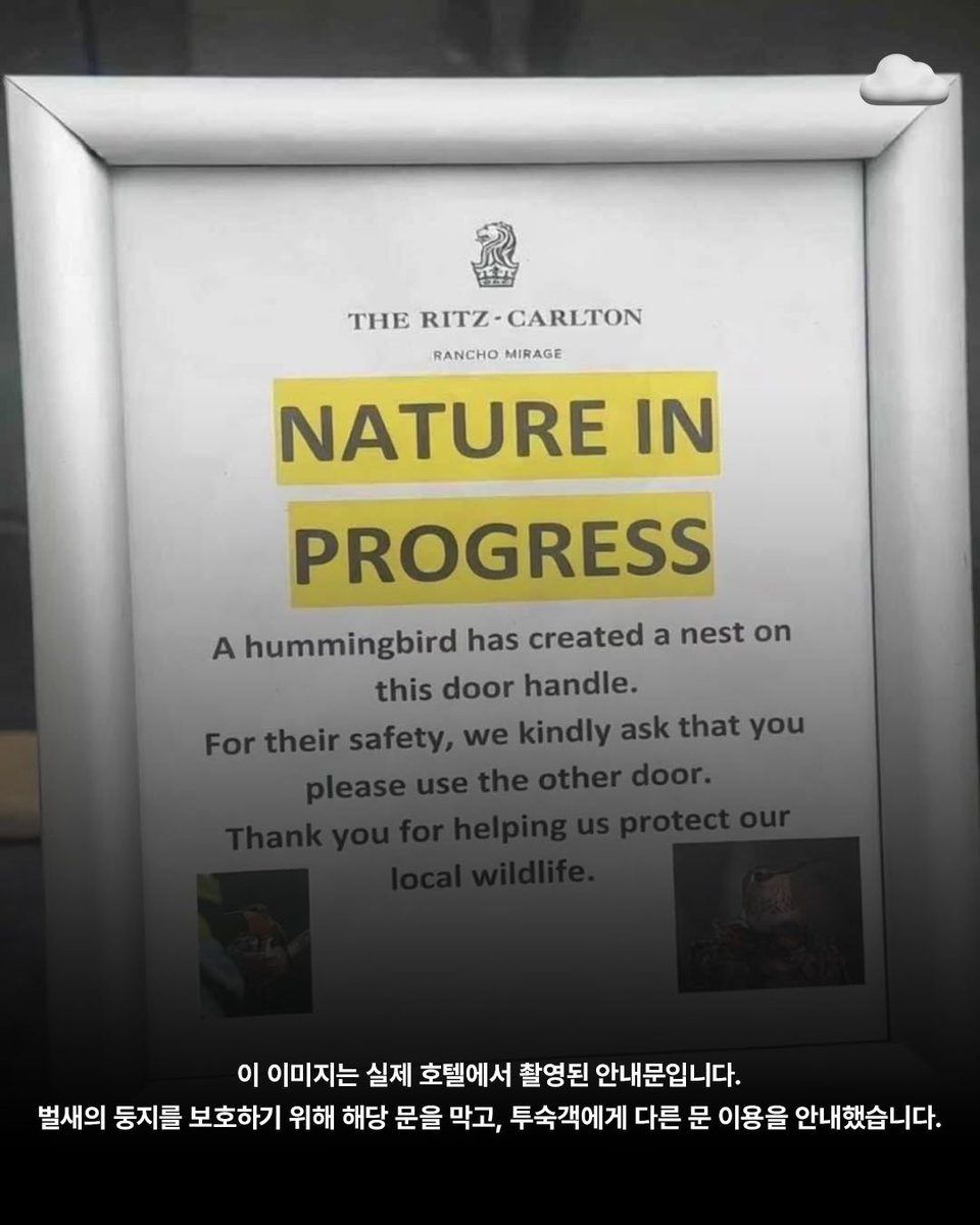 핑팬 tweet media