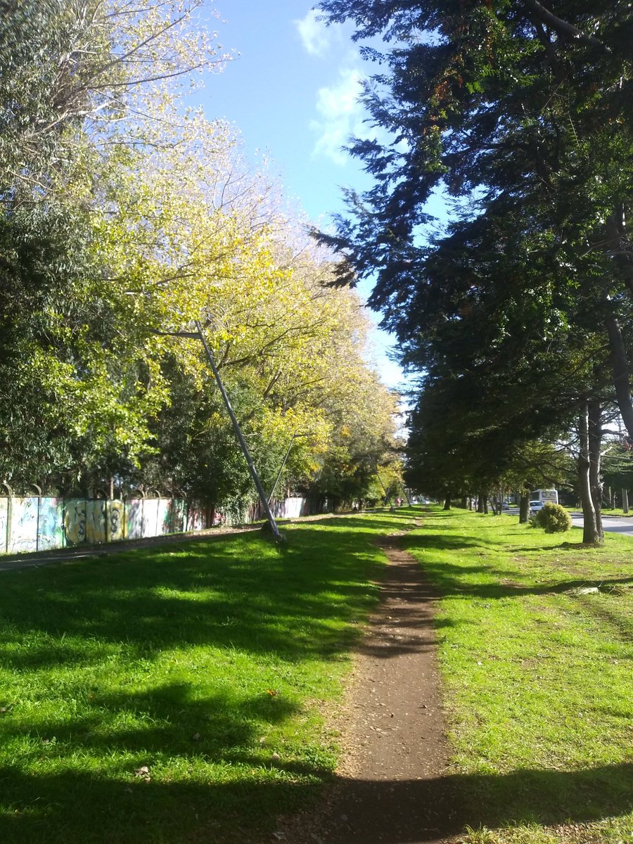 KMarestyrth's tweet image. Archivo de imágenes y recortes recopilados por Marcos Andrés Barros Ketterer. Marestyrth. #images #image #Temuco #Chile #Araucanía #Cautín #picture #pictures #photo #MarcosAndrésBarrosKetterer #Marestyrth #Photographer #Photography #Nature #Naturaleza #Landscapes #MedioAmbiente