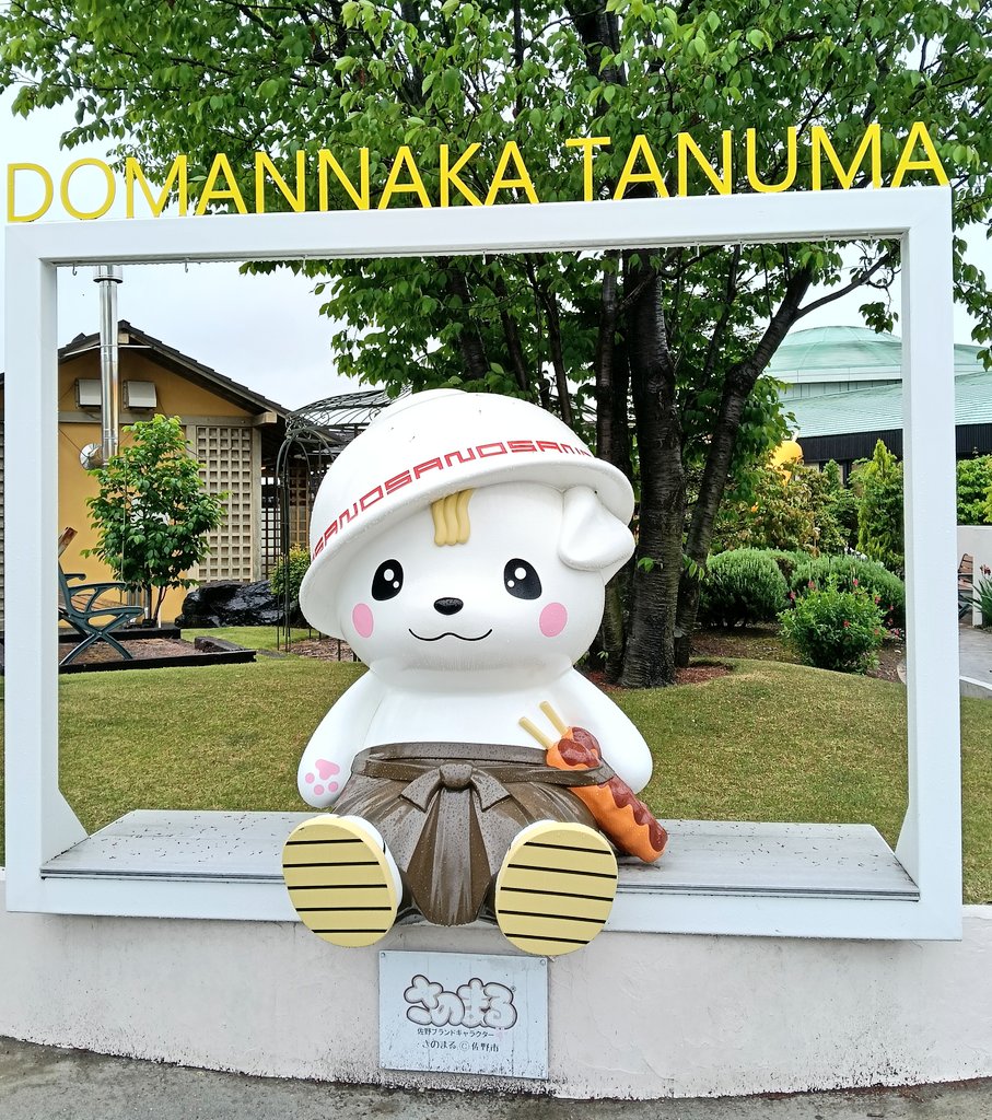 ちびつぶり🐨 tweet media
