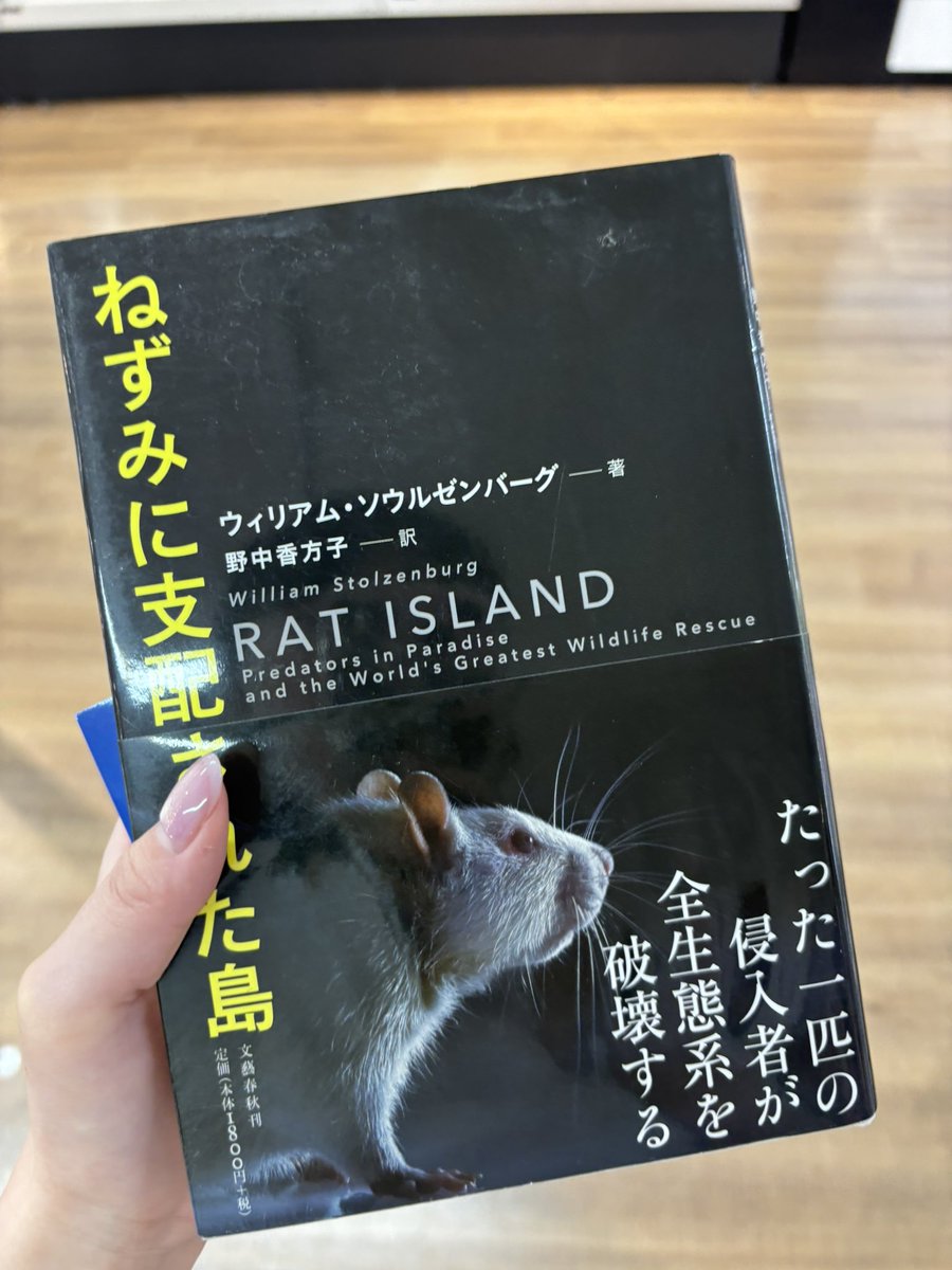 ハム助🐹ラッキー tweet media