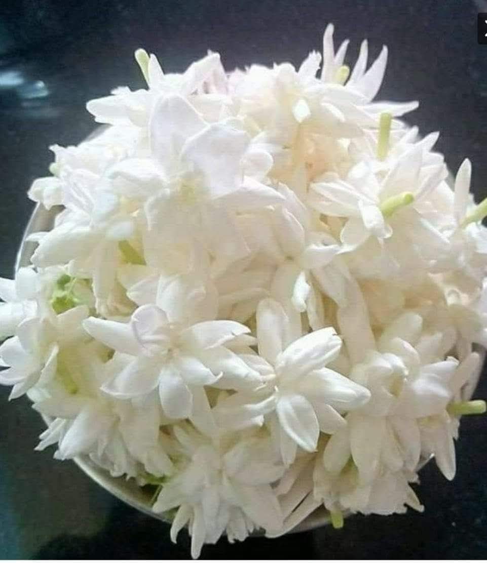 ابو فارس tweet media