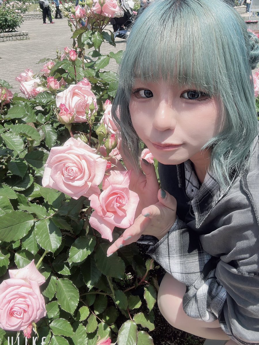 わんた。 tweet media