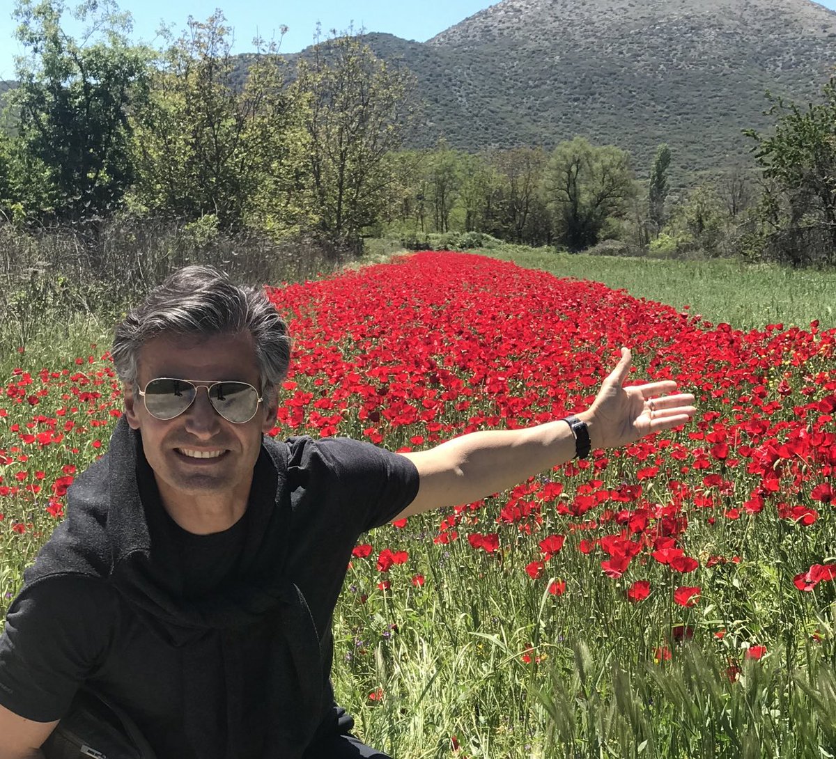 Nikos Michalopoulos tweet media